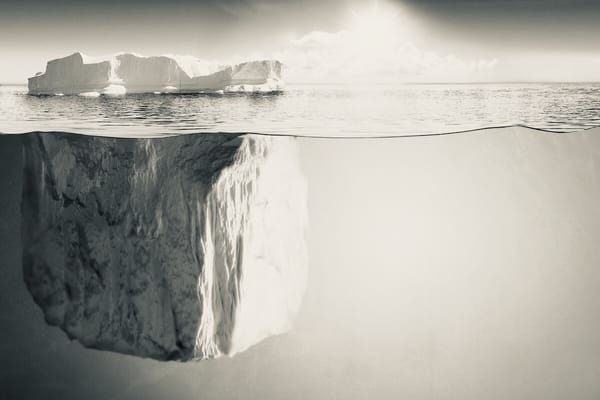 DIE ÖKOLOGISCHE KRISE: DIE SPITZE DES EISBERGS